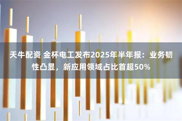 天牛配资 金杯电工发布2025年半年报：业务韧性凸显，新应用领域占比首超50%